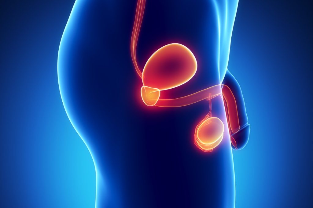 directorio medico de cancun cancer de prostata cancer tacto rectal indice prostatico en sangre disfuncion erectil problemas para orinar