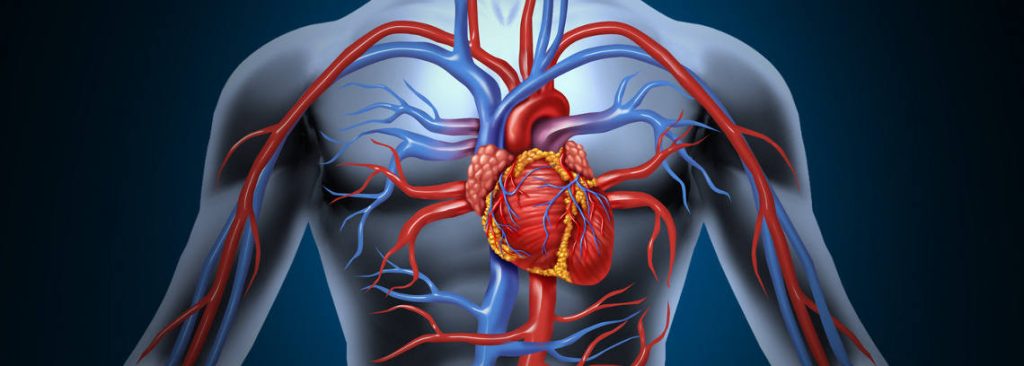 directorio medico de cancun cardiologo cardiologia cardiologia the clinics of the heart rafael moguel infartos arritmias